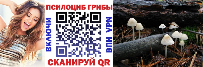 Галлюциногенные грибы Psilocybe  Слюдянка 