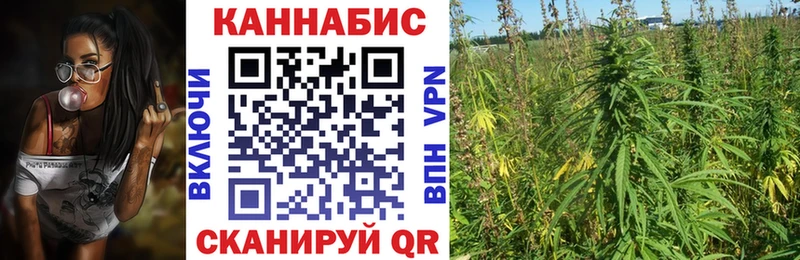 Канабис ГИДРОПОН Слюдянка
